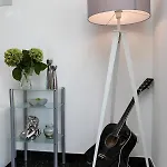 Vida